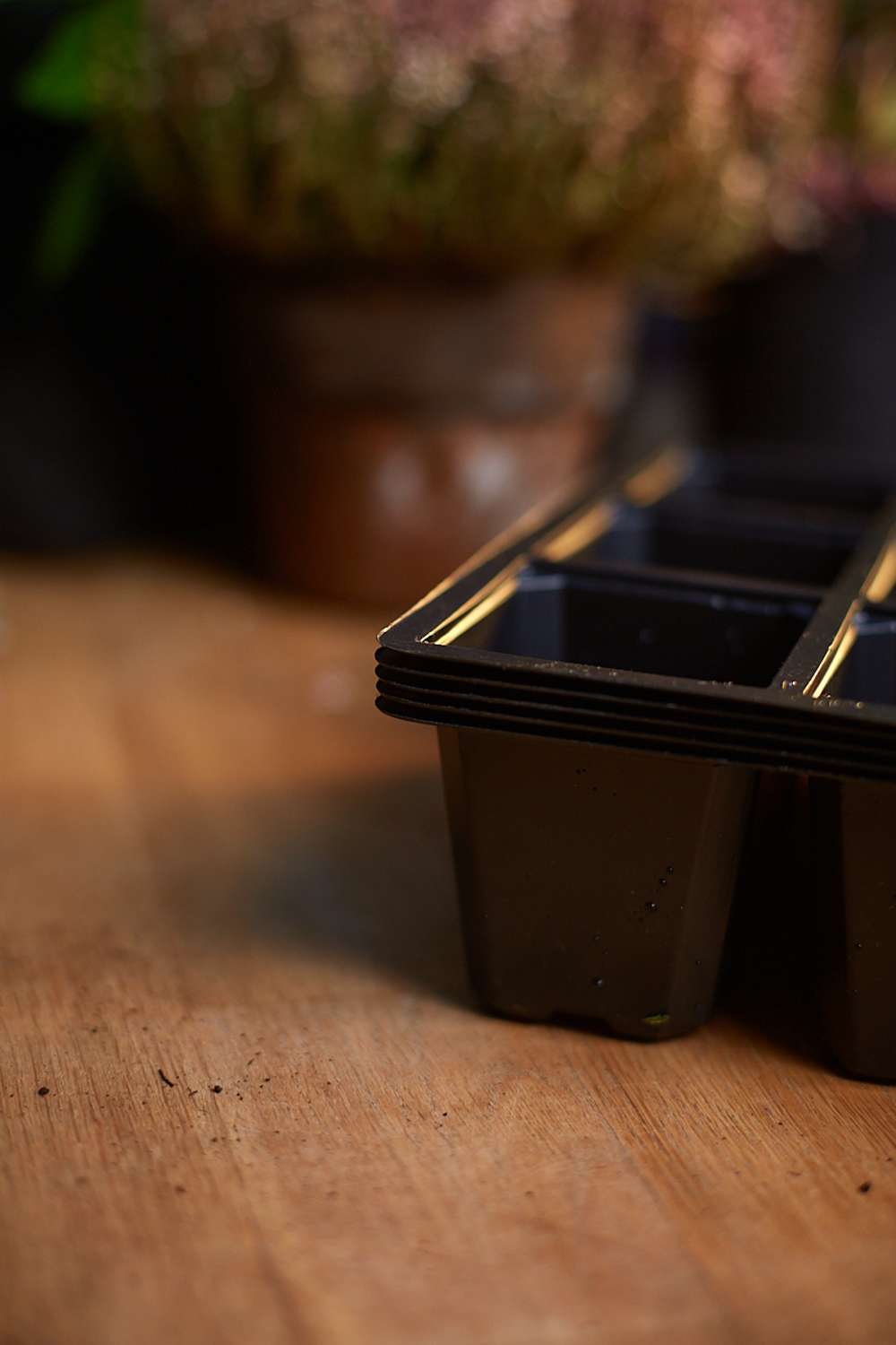 Såbakke m. 15 celler, 5 stk.